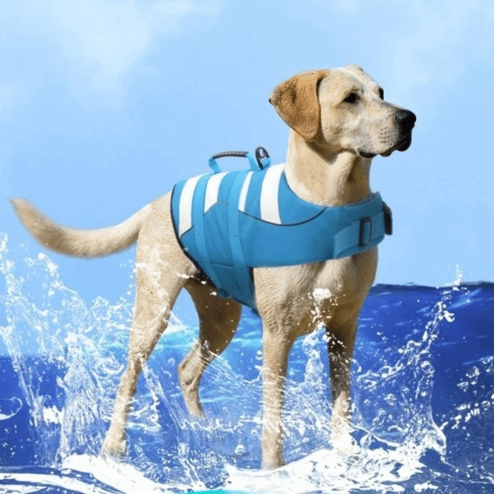 Life Jacket Buoyancy - Reflective Dog Life Jacket Superior Buoyancy