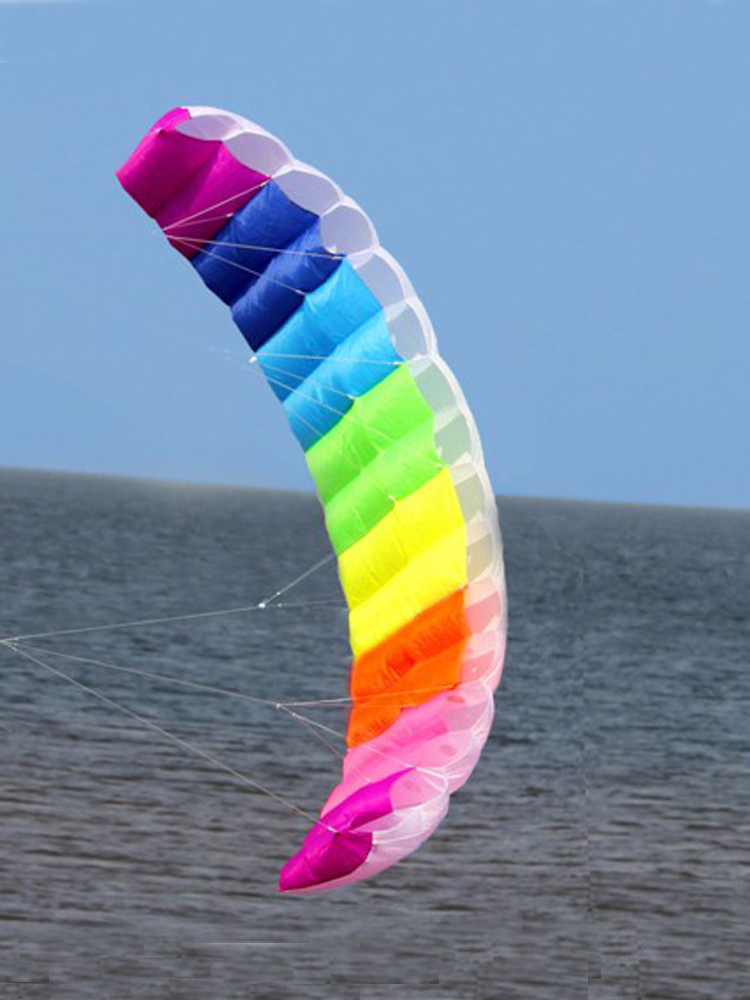 Professional 1.4/2/2.7m Dual L – обзор и цена Kite Surf Bar Control