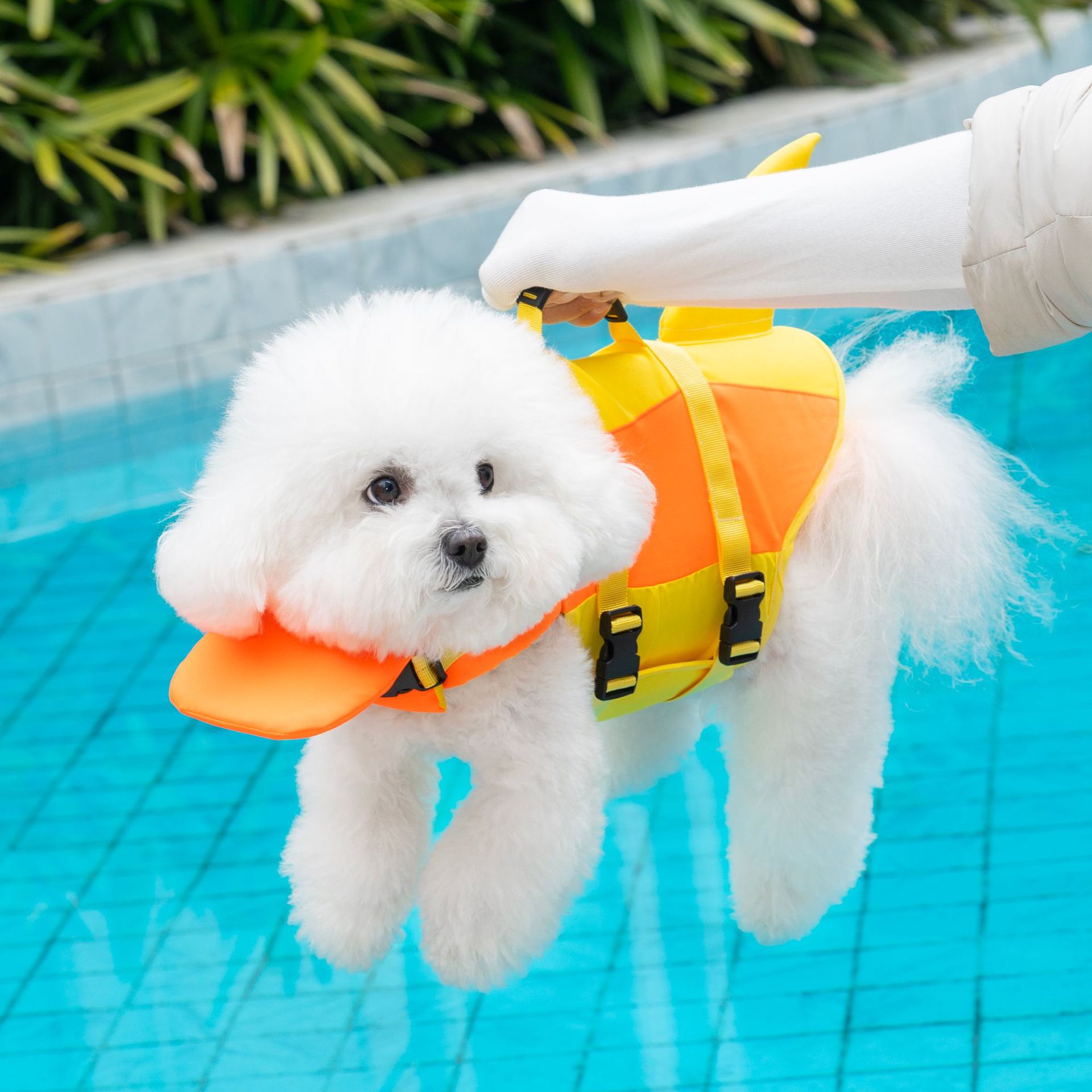 Cute Shark Dog Life Jacket wit – обзор и цена Life Jacket Buoyancy