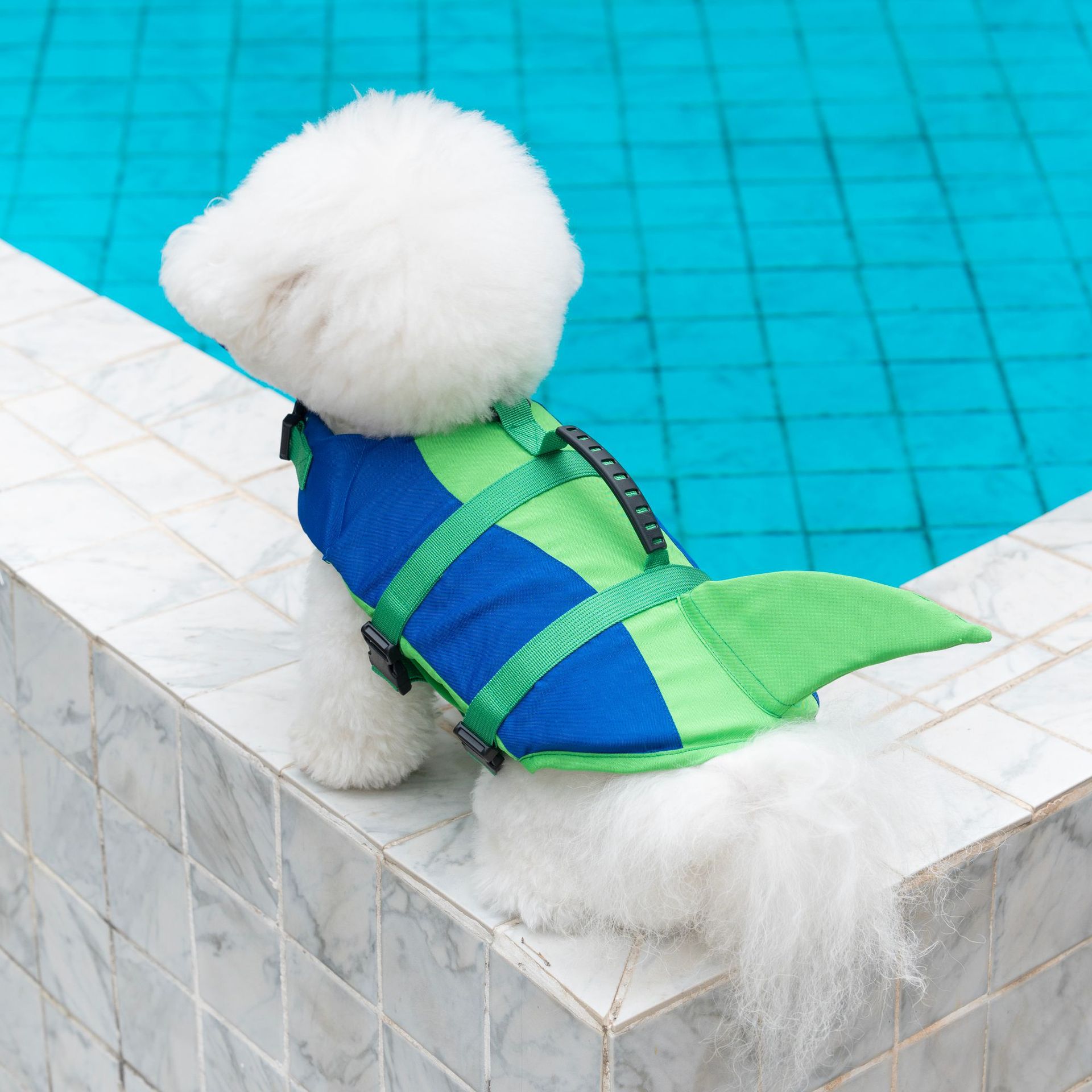 Cute Shark Dog Life Jacket wit – обзор и цена Life Jacket Buoyancy
