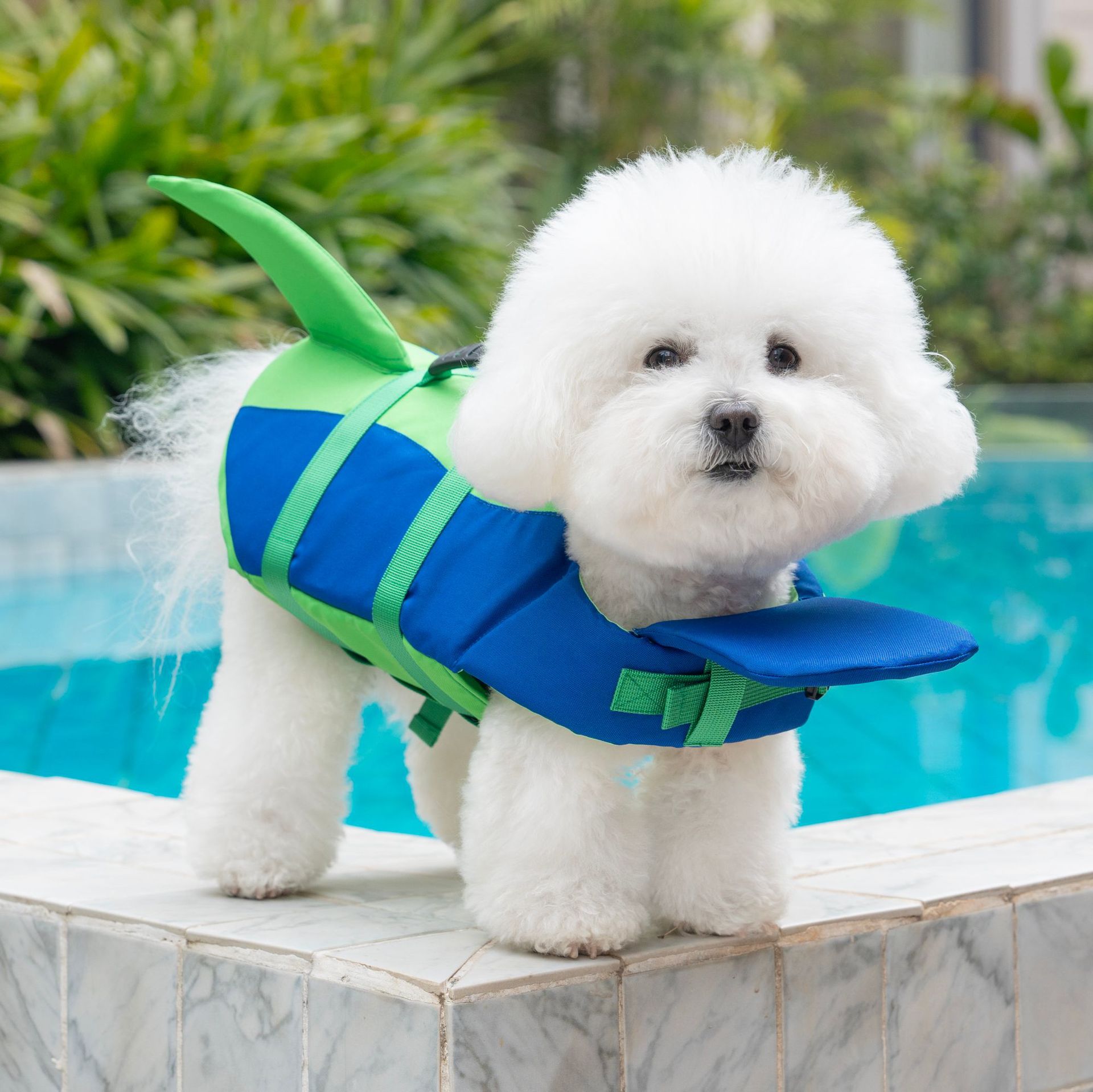 Cute Shark Dog Life Jacket wit – обзор и цена Life Jacket Buoyancy