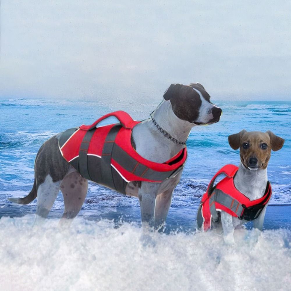 Reflective Dog Life Jacket Adj – обзор и цена Life Jacket Buoyancy