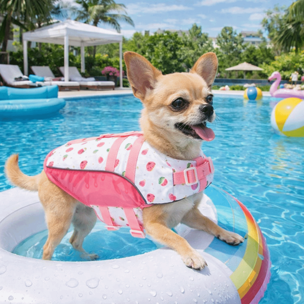 Adjustable Dog Life Jacket Hig – обзор и цена Life Jacket Buoyancy
