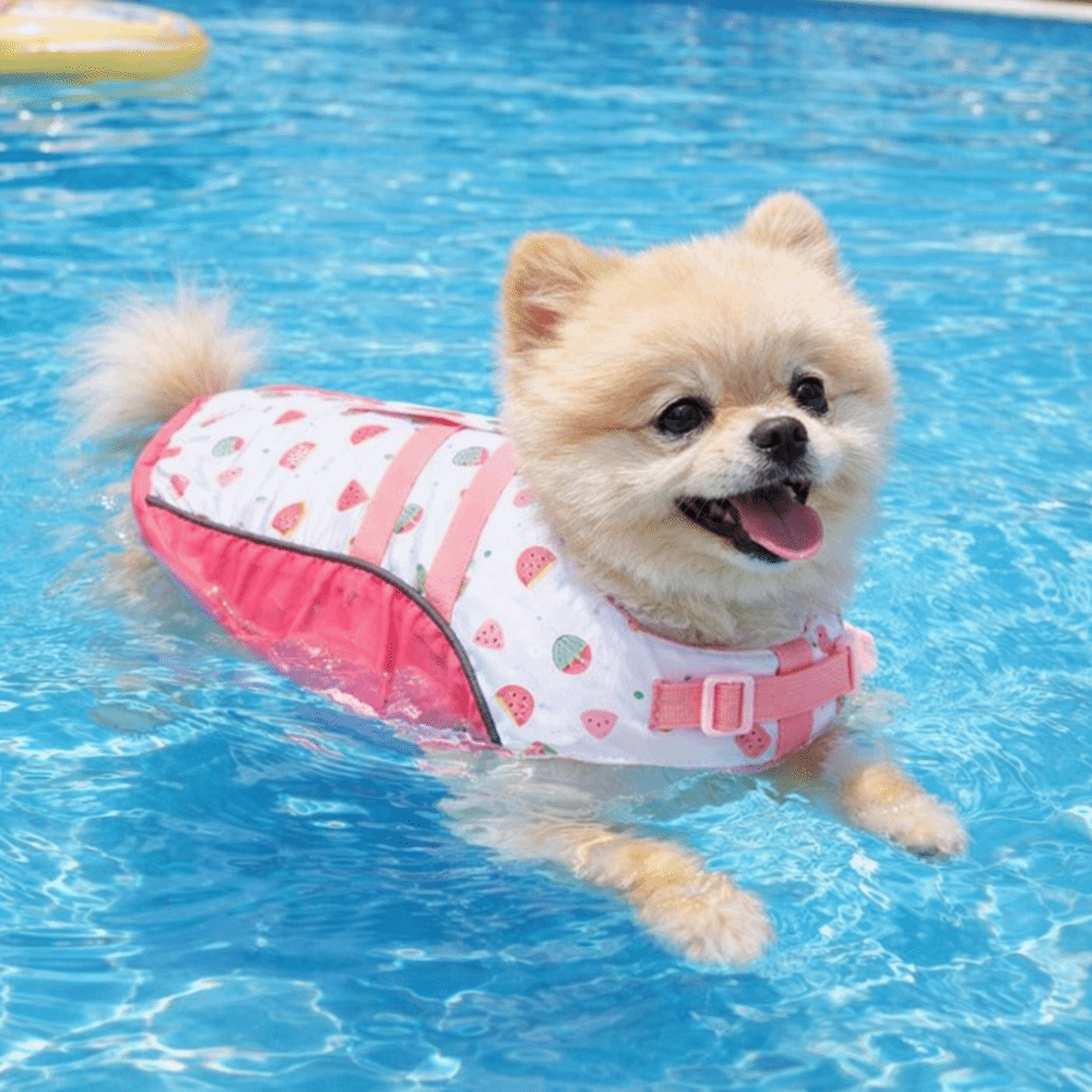 Adjustable Dog Life Jacket Hig – обзор и цена Life Jacket Buoyancy